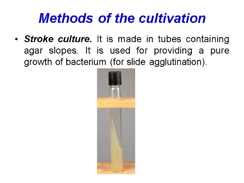 Methods of the cultivation Stroke culture. It is made in tubes containing agar slopes.